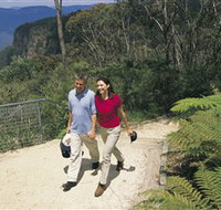 Blue Mountains Walking Tracks - Northern Rivers Accommodation