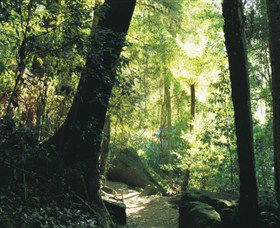Blue Mountains National Park - Northern Rivers Accommodation 5