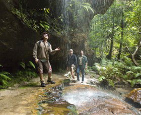 Blue Mountains National Park - Northern Rivers Accommodation 3