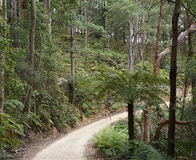 Blue Mountains National Park - Northern Rivers Accommodation 8