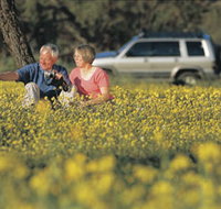 Coalseam Conservation Park - Northern Rivers Accommodation