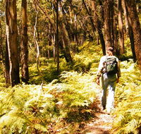 Federal Pass - Northern Rivers Accommodation