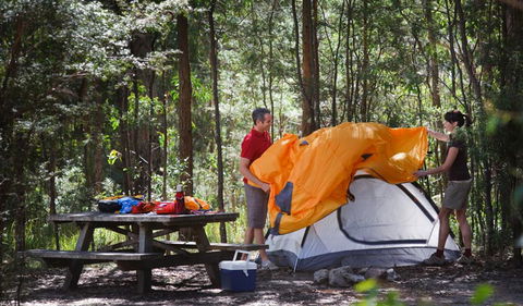 Bald Rock National Park - Northern Rivers Accommodation 1