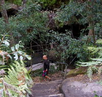 Leura Cascades Fern Bower - Northern Rivers Accommodation