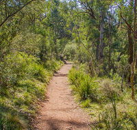 Mares Forest Creek walking track - Northern Rivers Accommodation