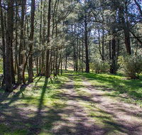 Wombeyan Waterfall walking track - Northern Rivers Accommodation
