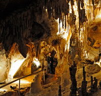Wollondilly Cave - Northern Rivers Accommodation