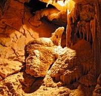 Fig Tree Cave - Northern Rivers Accommodation