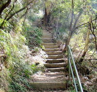 Nature track - Northern Rivers Accommodation
