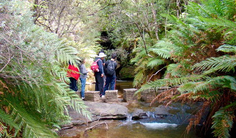 Nature Track - Northern Rivers Accommodation 1