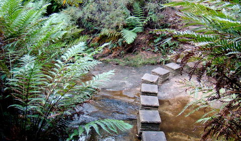 Nature Track - Northern Rivers Accommodation 3