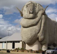 Big Merino - Northern Rivers Accommodation