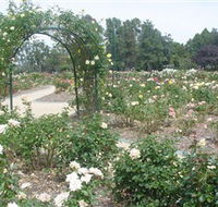 Victoria Park Rose Garden - Northern Rivers Accommodation