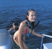 Seal Cove - Northern Rivers Accommodation