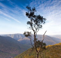 Salisbury Waters walking track - Northern Rivers Accommodation