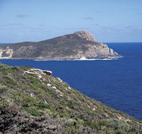 Bald Head Walking Track - Northern Rivers Accommodation