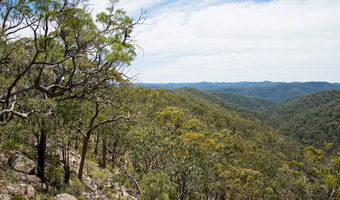 Howes Trail - Northern Rivers Accommodation 2
