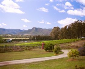 Catherine Vale Wines - Northern Rivers Accommodation 0