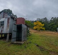 Nowendoc National Park - Northern Rivers Accommodation