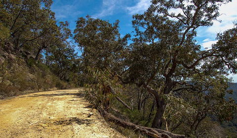Parr State Conservation Area - Northern Rivers Accommodation 0