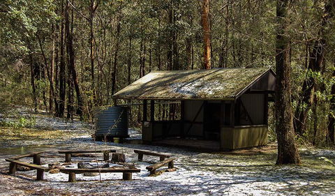 Parr State Conservation Area - Northern Rivers Accommodation 1