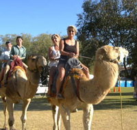 Calamunnda Camel Farm  - Northern Rivers Accommodation