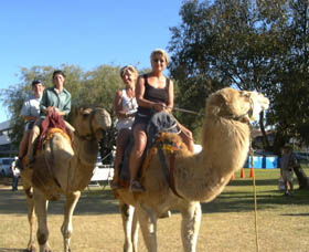 Calamunnda Camel Farm  - Northern Rivers Accommodation 0