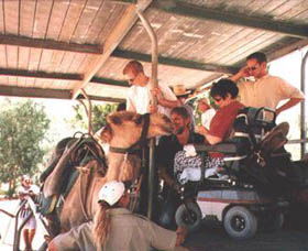 Calamunnda Camel Farm  - Northern Rivers Accommodation 3