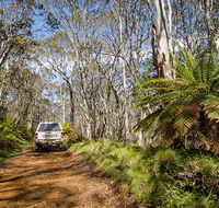 Barrington trail - Northern Rivers Accommodation