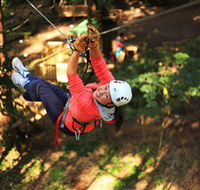 Trees Adventure Grose River Park - Northern Rivers Accommodation