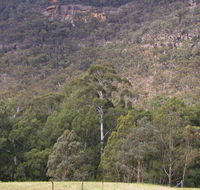Bangadilly National Park - Northern Rivers Accommodation