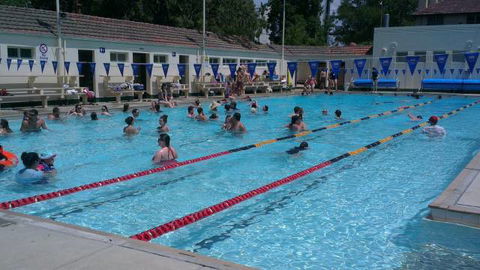 Manuka Pool - Northern Rivers Accommodation 3