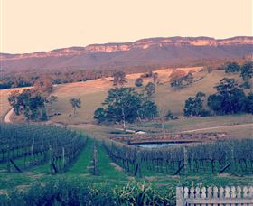 Dryridge Estate - Northern Rivers Accommodation 0