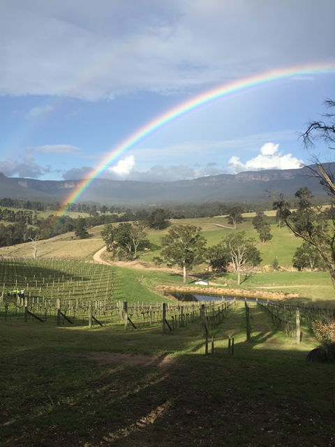 Dryridge Estate - Northern Rivers Accommodation 4