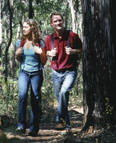 Bibbulmun Track - Northern Rivers Accommodation 1