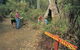 Bibbulmun Track - thumb 3