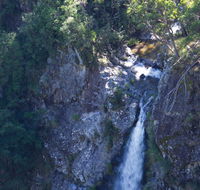 Lyrebird Falls walking track - Northern Rivers Accommodation