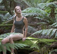 Barrington Tops National Park - Honeysuckle Forest Track - Northern Rivers Accommodation