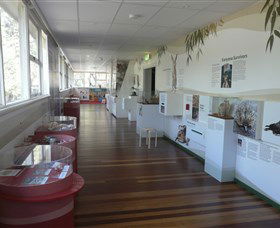 Kanyana Wildlife Rehabilitation Centre - Northern Rivers Accommodation 1