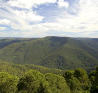 Barrington Tops National Park - Northern Rivers Accommodation