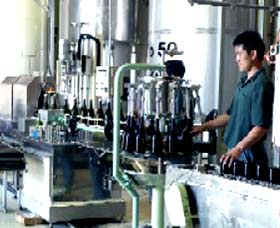 Sun Masamune Sake Brewery - Northern Rivers Accommodation 2