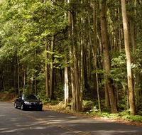 Greater Blue Mountains drive - Northern Rivers Accommodation