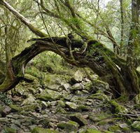 Mitchell River National Park - Northern Rivers Accommodation