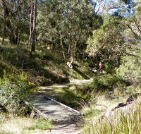 Wollomombi walking track - Northern Rivers Accommodation