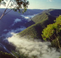 Long Point Lookout - Northern Rivers Accommodation