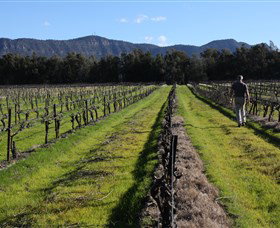 Around Hermitage Wine And Food Trail Hunter Valley - Northern Rivers Accommodation 1
