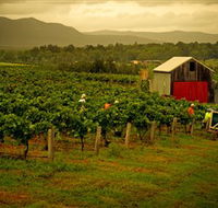 Around Hermitage Wine and Food Trail Hunter Valley - Northern Rivers Accommodation