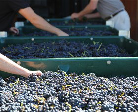 Around Hermitage Wine And Food Trail Hunter Valley - Northern Rivers Accommodation 6