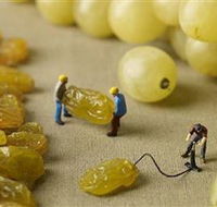 Hunter Valley Wine School - Northern Rivers Accommodation