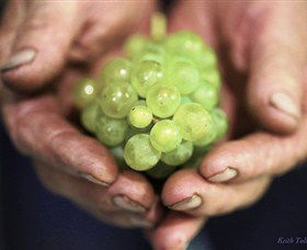 Keith Tulloch Wine - Northern Rivers Accommodation 1
